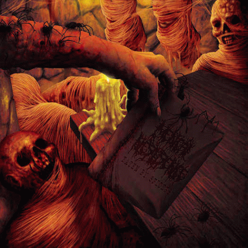 Medical Negligence : Eaten by Spiders